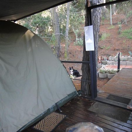 Eagles' Call Cottages And Tent Wildernis Kültér fotó