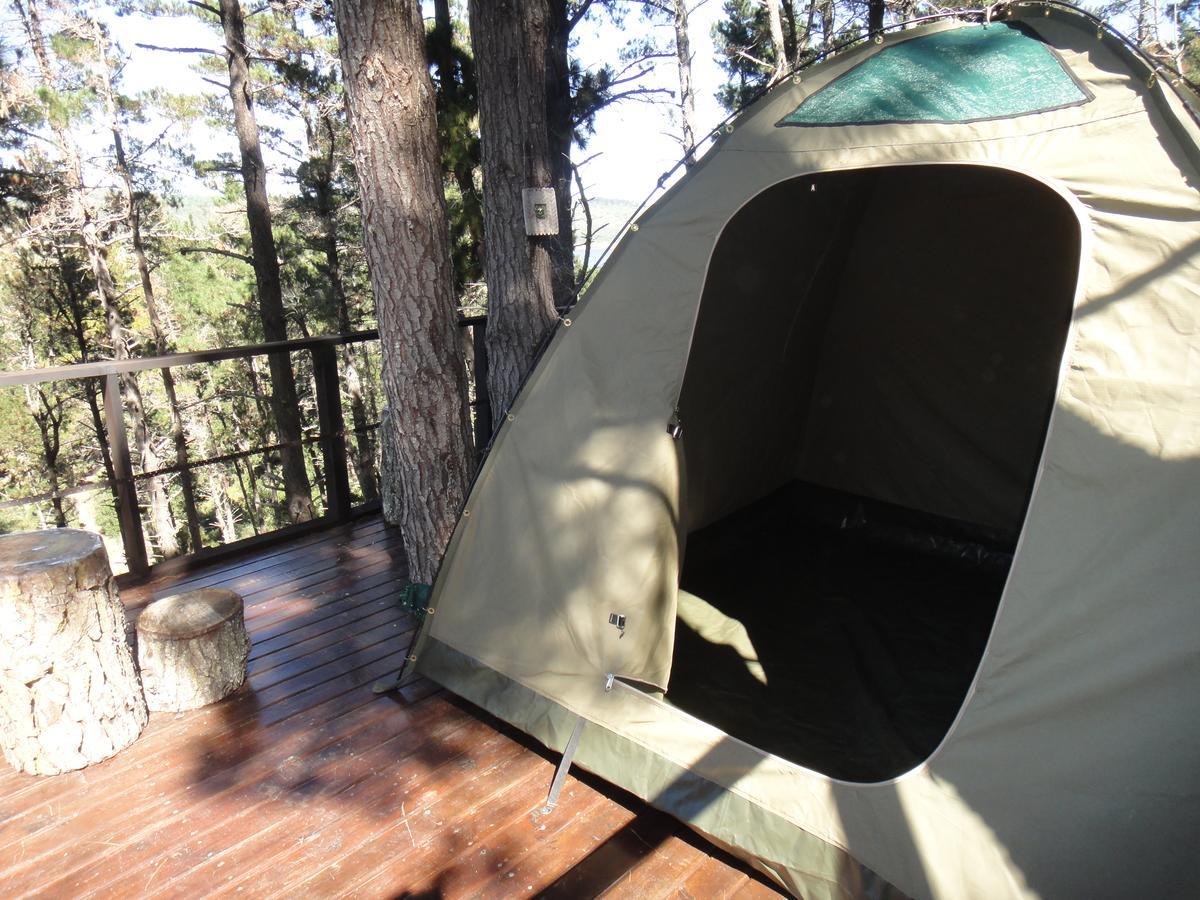 Eagles' Call Cottages And Tent Wildernis Kültér fotó