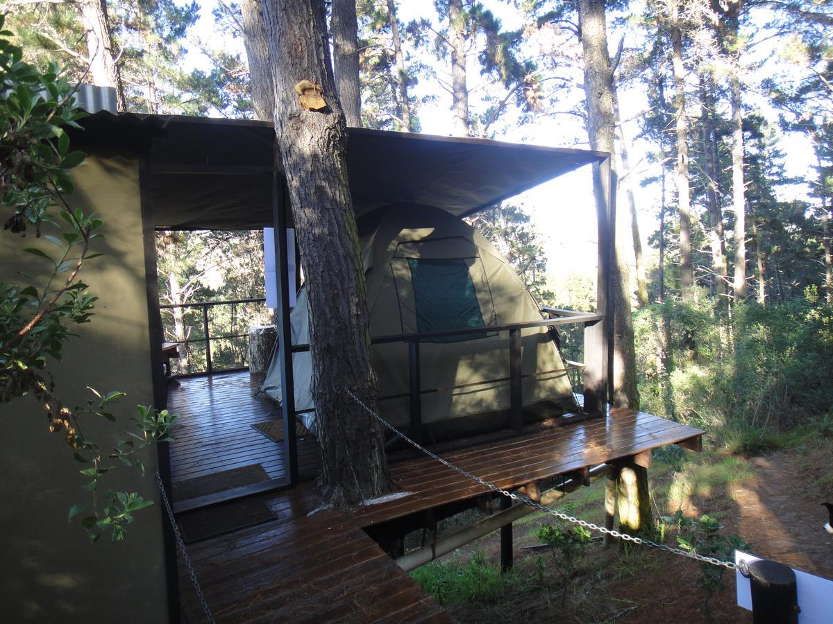 Eagles' Call Cottages And Tent Wildernis Kültér fotó
