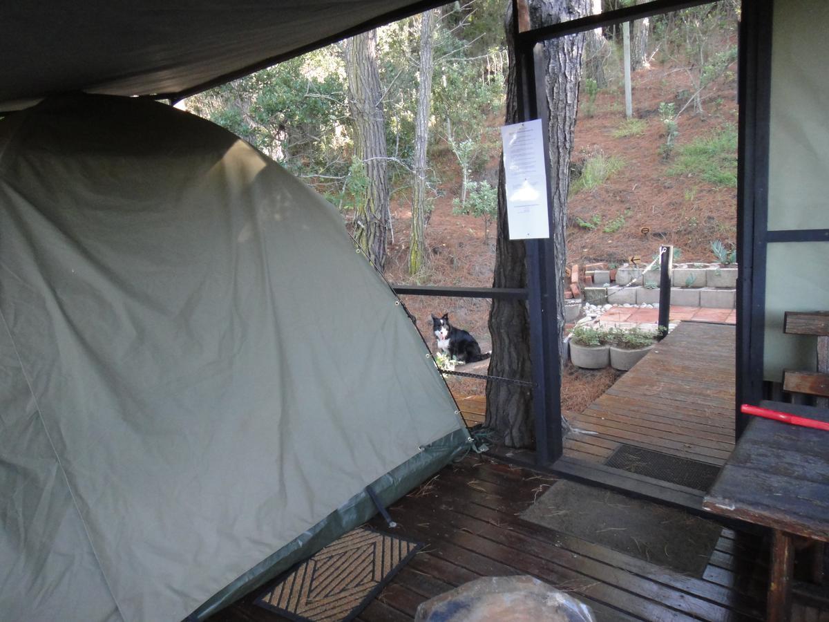 Eagles' Call Cottages And Tent Wildernis Kültér fotó