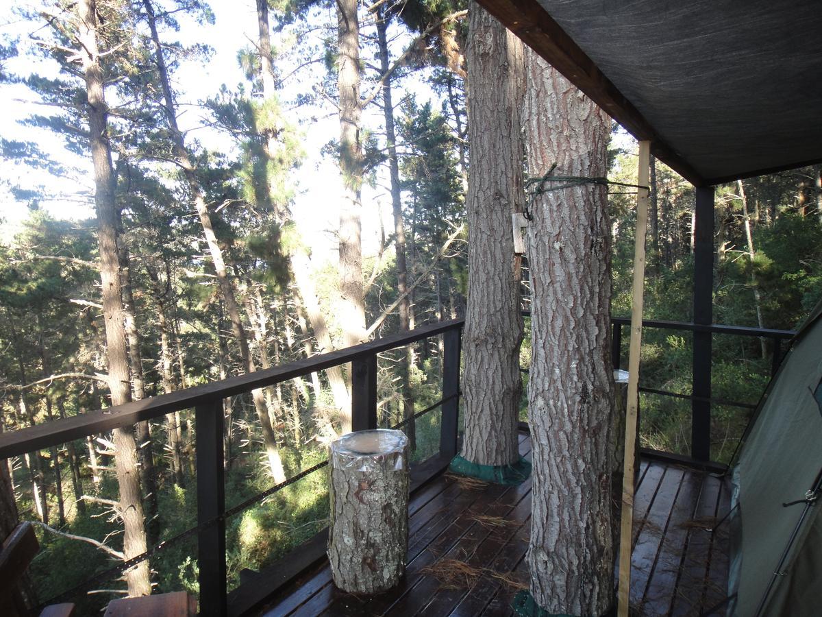 Eagles' Call Cottages And Tent Wildernis Kültér fotó